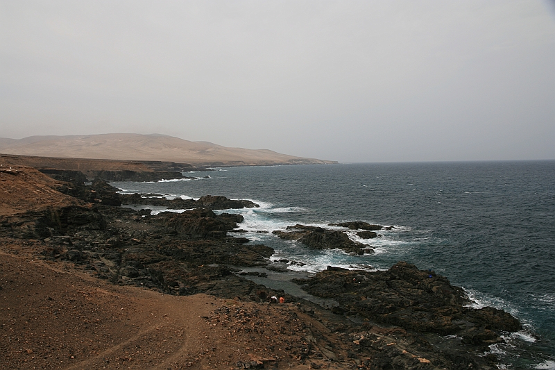Kanary_2010 029